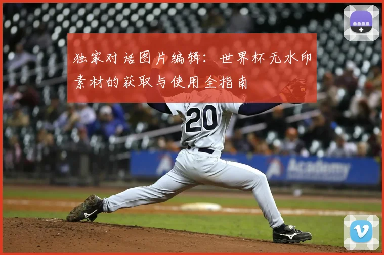 独家对话图片编辑：世界杯无水印素材的获取与使用全指南