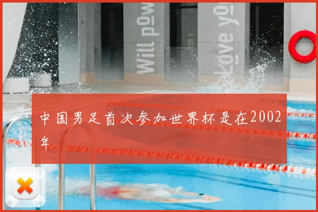 中国男足首次参加世界杯是在2002年