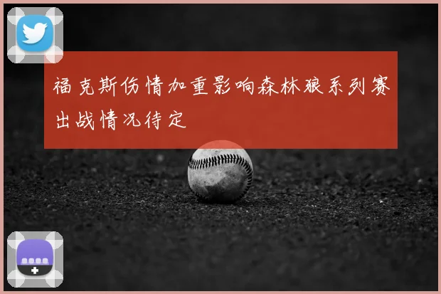 福克斯伤情加重影响森林狼系列赛出战情况待定