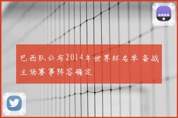 巴西队公布2014年世界杯名单 备战主场赛事阵容确定
