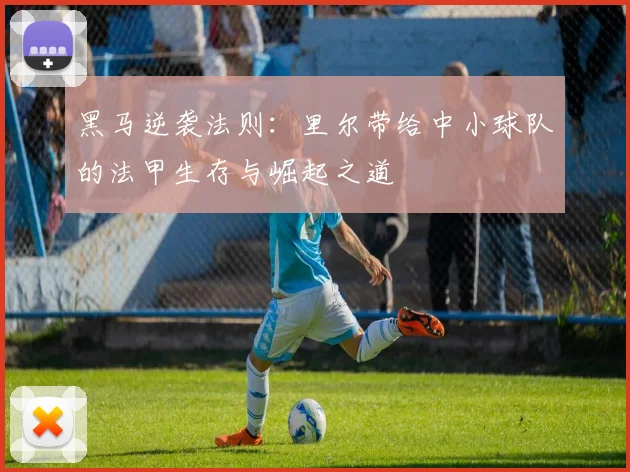 黑马逆袭法则:里尔带给中小球队的法甲生存与崛起之道