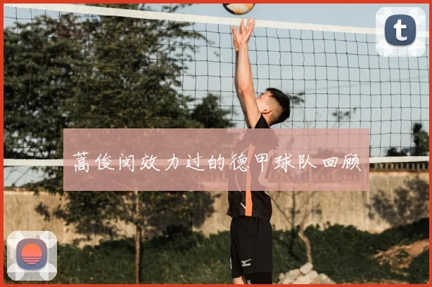 蒿俊闵效力过的德甲球队回顾