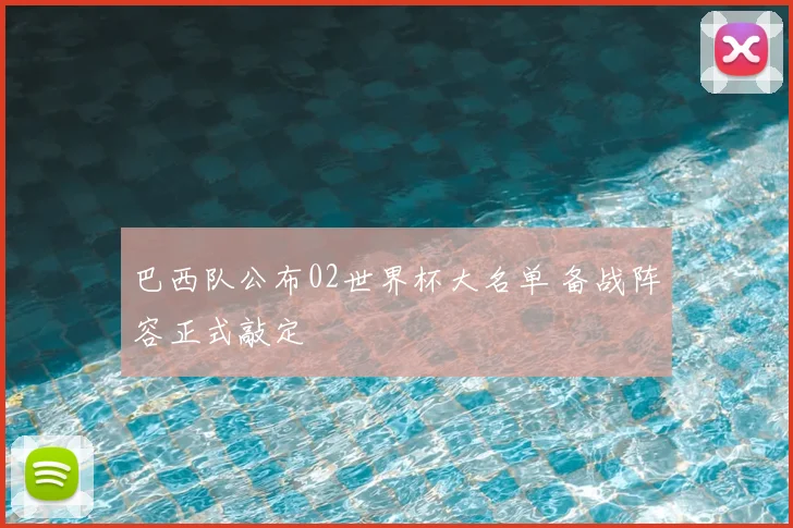 巴西队公布02世界杯大名单 备战阵容正式敲定