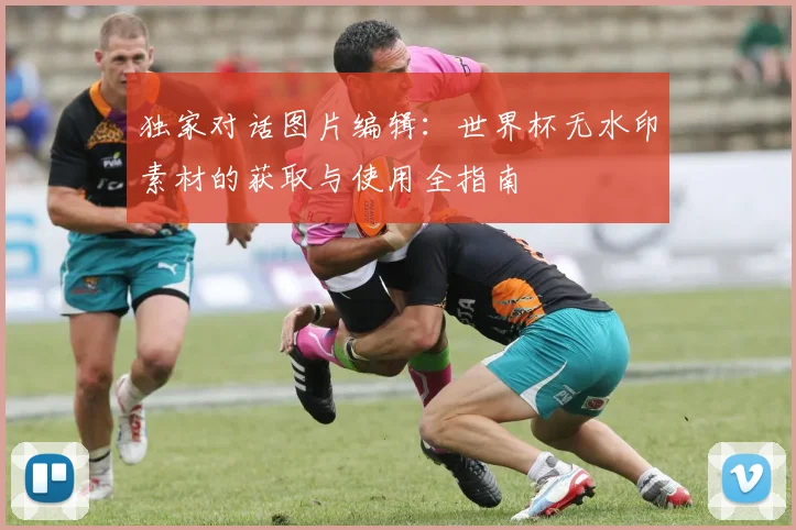 独家对话图片编辑：世界杯无水印素材的获取与使用全指南
